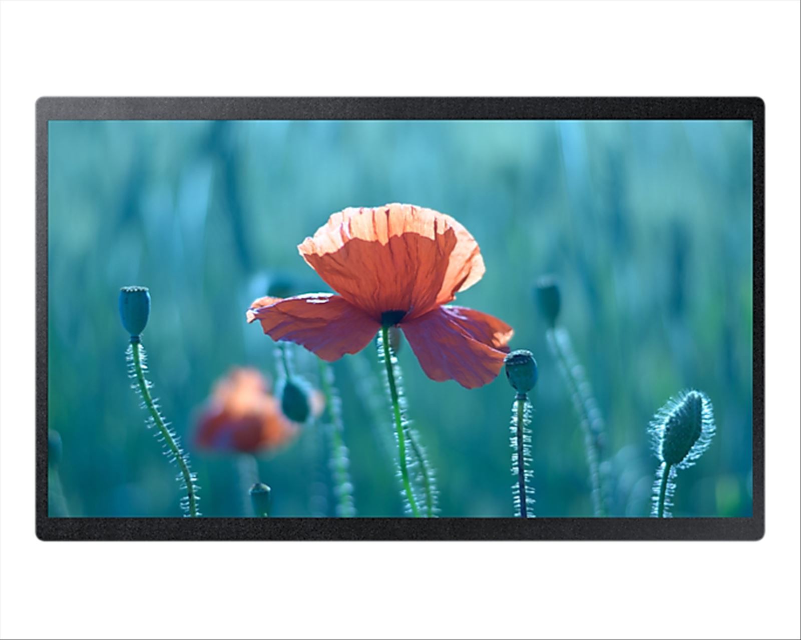 Samsung LH24QBREBGC Pannello piatto per segnaletica digitale 60,5 cm (23.8") Full HD Nero Tizen